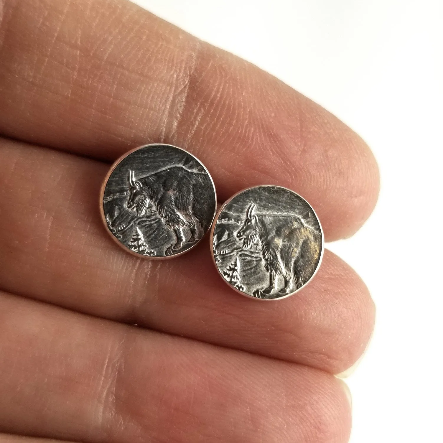 Silver Glacier National Park Quarter Punch Out Stud Earrings